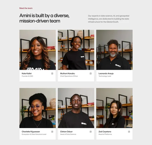 Amini team grid with photo cards, light-mode, minimal, light