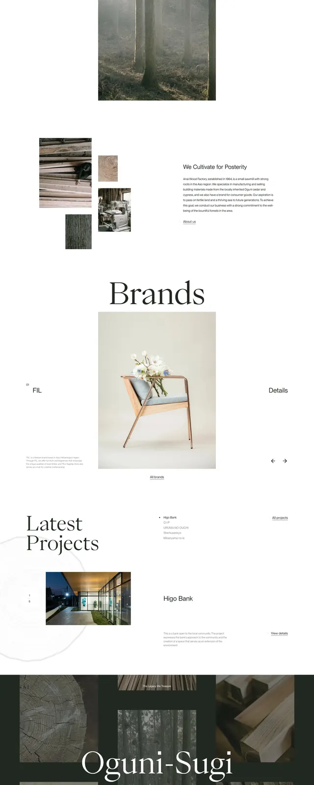 Anaiwood Minimalist Portfolio, minimal, editorial, light
