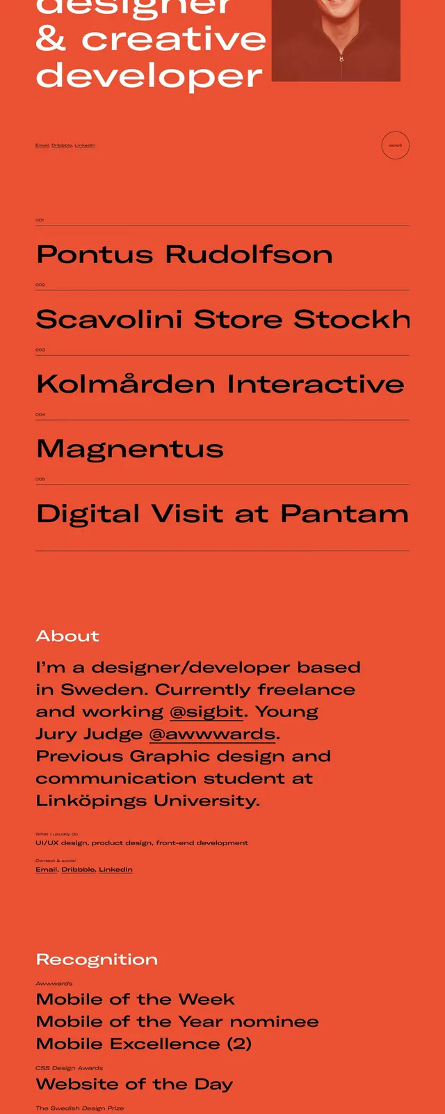 Bold Red Portfolio Landing, minimal, brutalist, vibrant