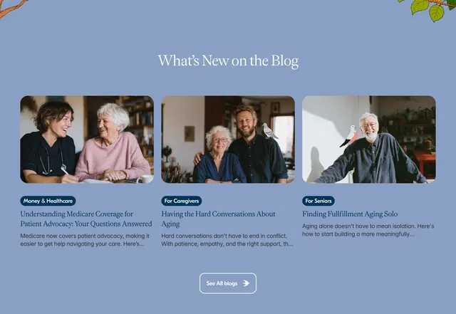 Baba blog preview grid, minimal, light-mode, cool
