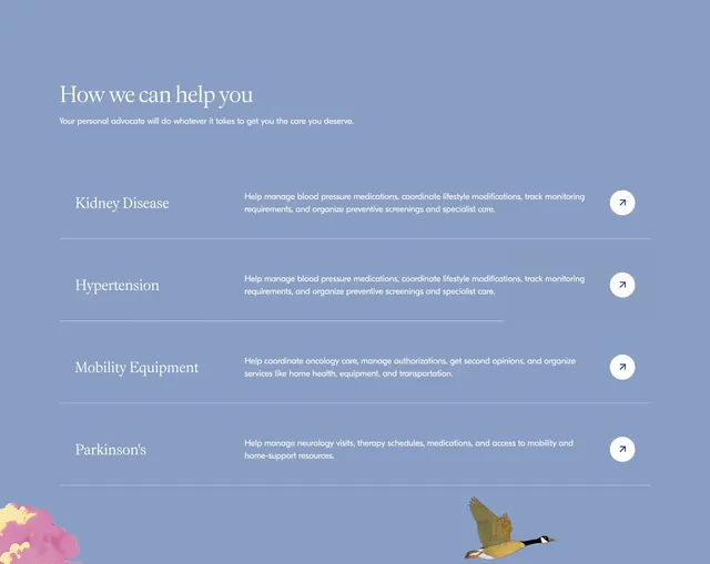 Baba health services list, minimal, editorial, cool