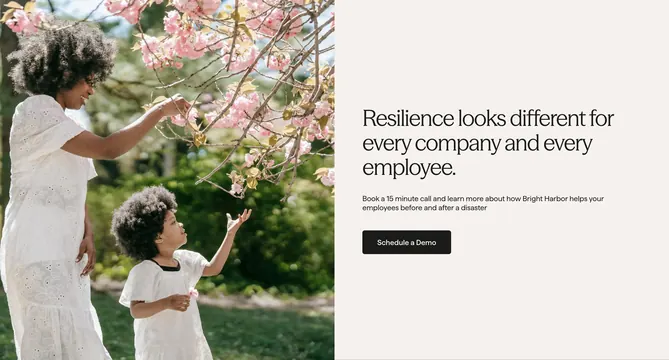 Bright Harbor resilience split banner, editorial, minimal, light