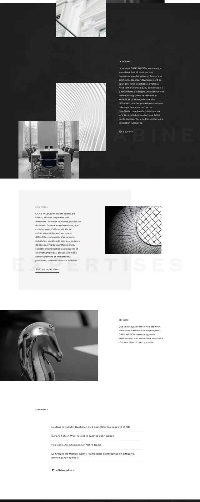 Cahn Wilson editorial legal homepage, editorial, minimal, light