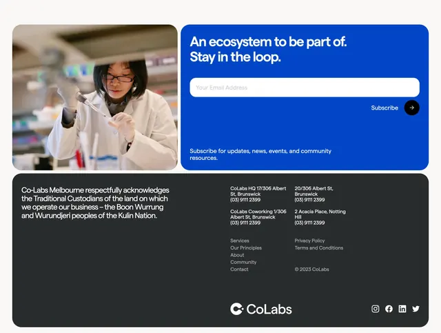 CoLabs bento footer with newsletter, light-mode, minimal, light