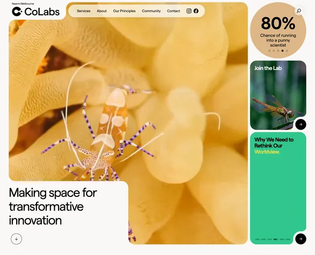 CoLabs bento homepage hero, light-mode, organic, light