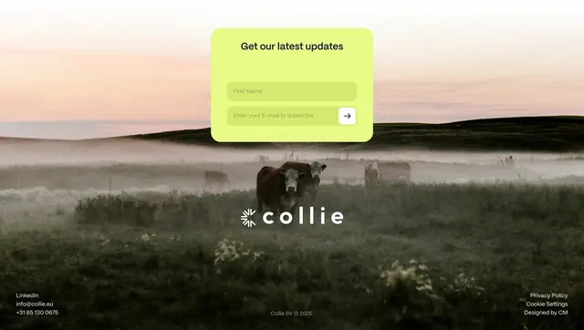 Collie newsletter footer over misty pasture, light-mode, photographic, light