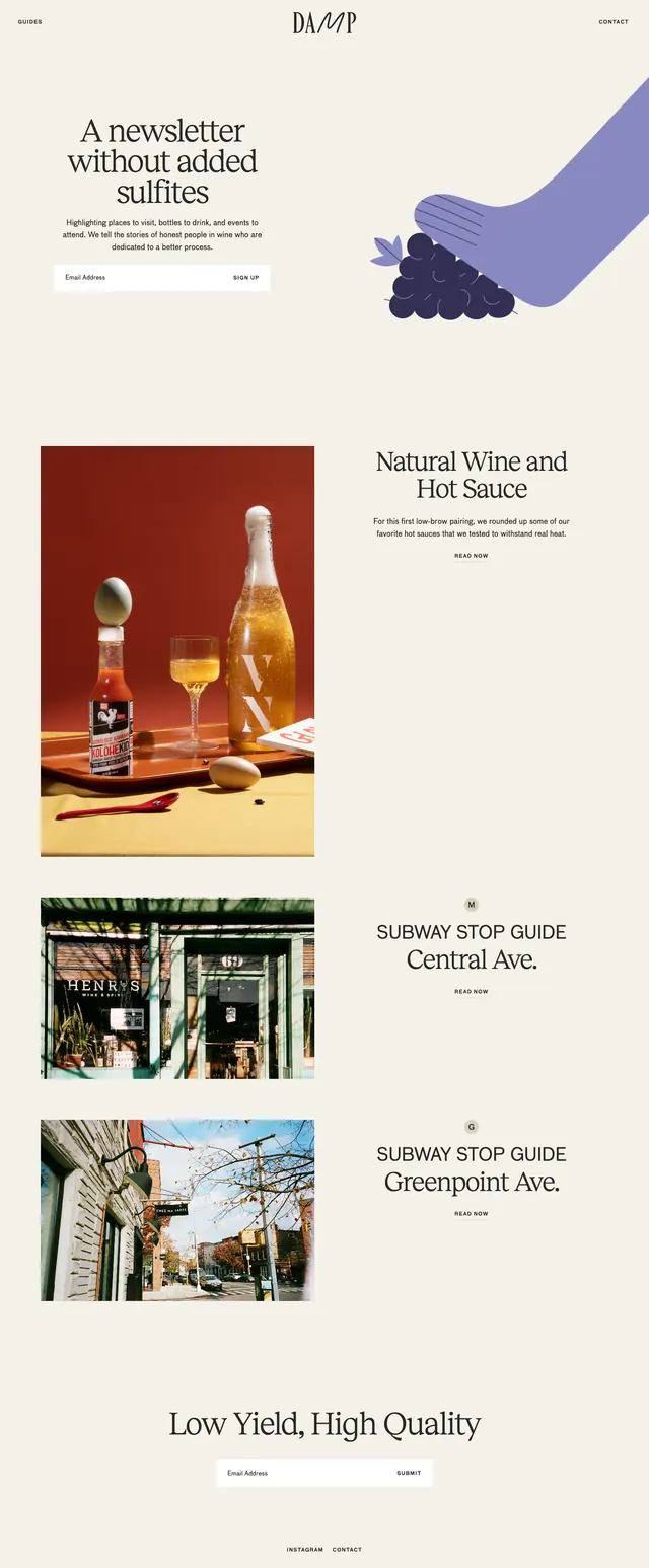 Dampwine editorial newsletter, editorial, minimal, light