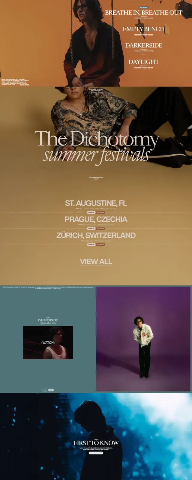 Dark music artist homepage, editorial, luxury, dark