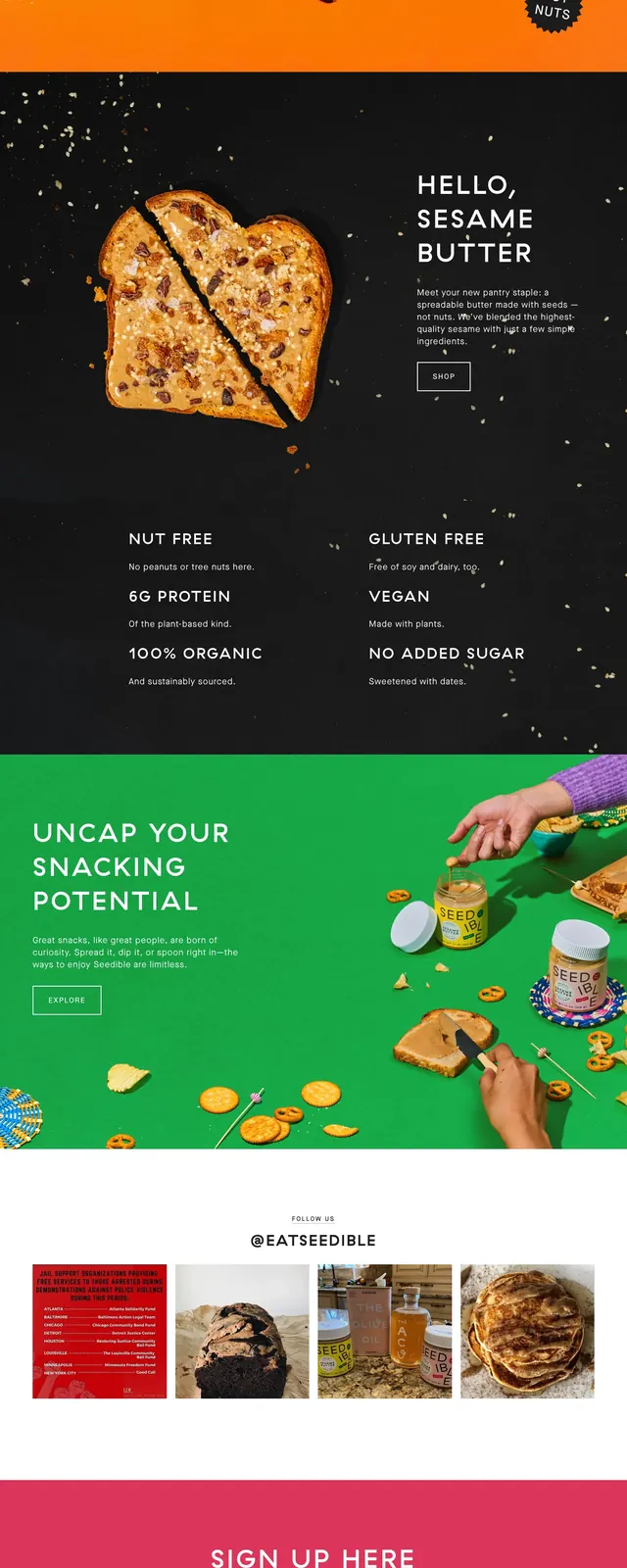 Seedible Color Pop Landing Page, playful, photographic, vibrant