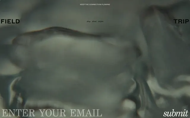 Field Trip newsletter footer, minimal, editorial, dark
