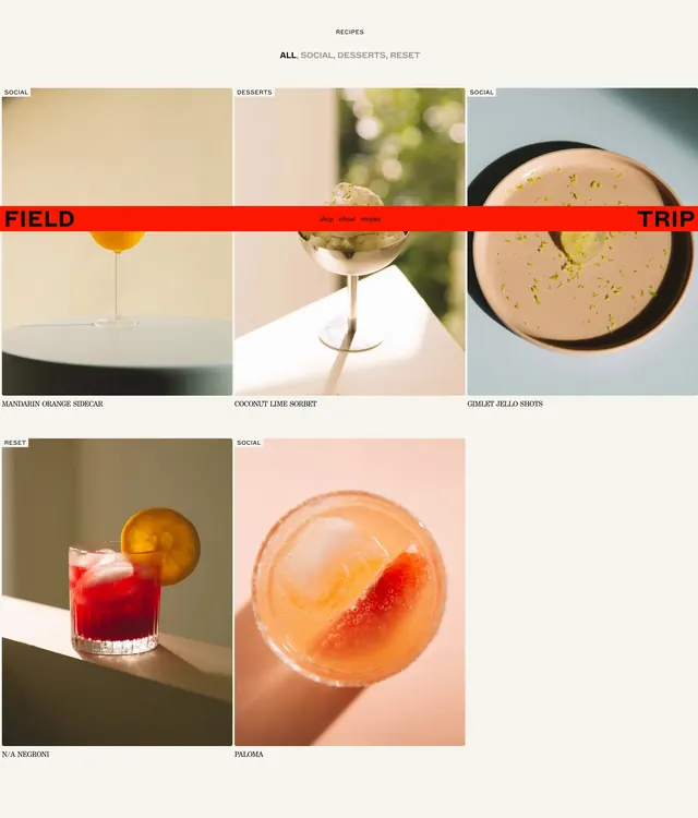 Field Trip recipe portfolio grid, minimal, light-mode, light
