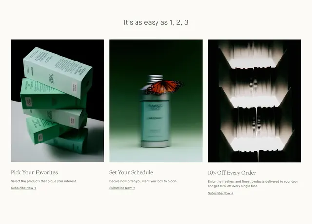 Flamingo Estate subscription process steps, minimal, light-mode, light