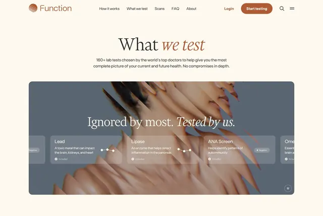 Function what we test scope feature, minimal, light-mode, light