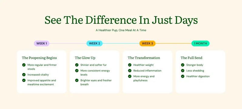 Get Joy weekly transformation timeline, minimal, light-mode, light