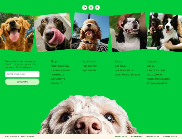 Get Joy green footer with dog gallery, playful, light-mode, vibrant