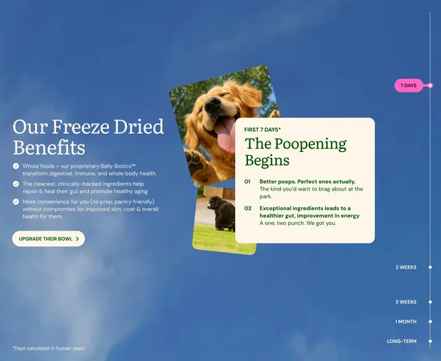 Get Joy freeze-dried benefits timeline, playful, light-mode, light