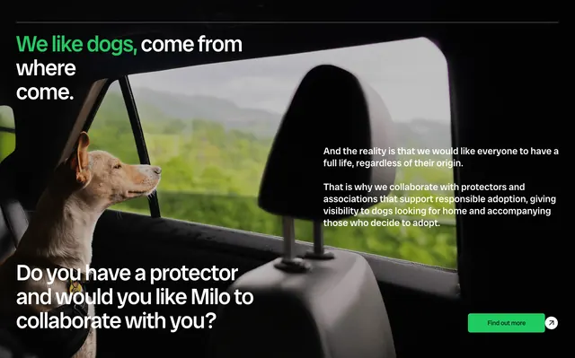 Milo collaboration hero with car-window dog photo, minimal, photographic, dark