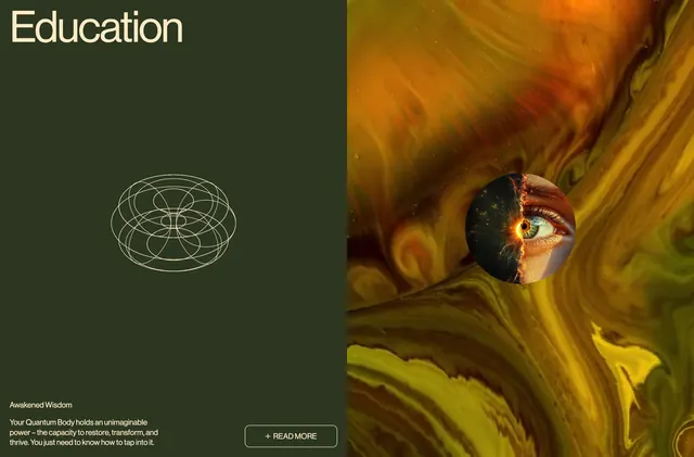 Quantum Body education split section, minimal, dark-mode, dark