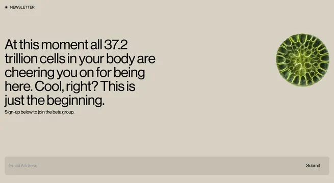 Quantum Body newsletter signup CTA, minimal, light-mode, light