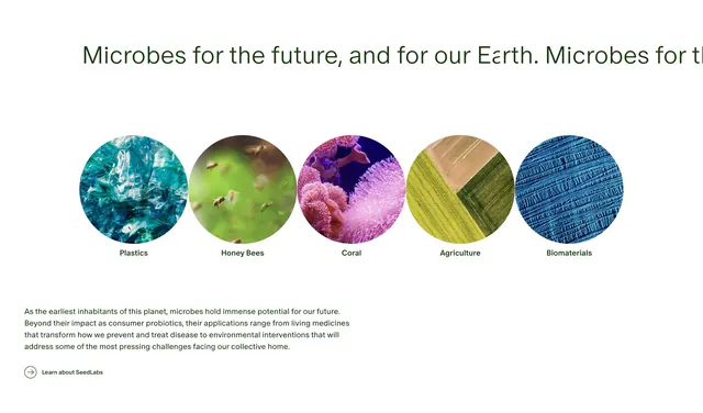 Seed environmental impact feature, minimal, light-mode, light