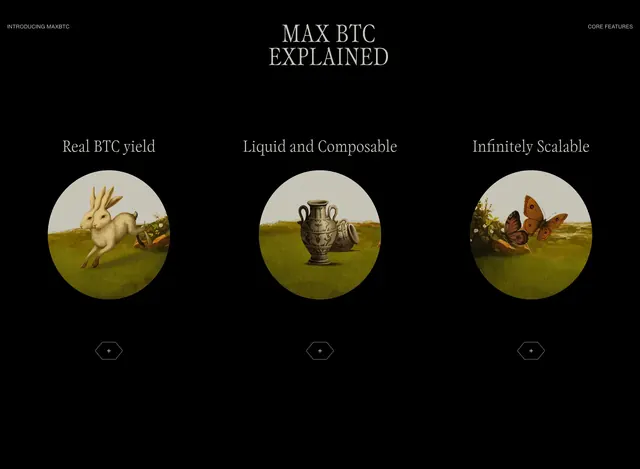 maxBTC explained feature grid, dark-mode, minimal, dark