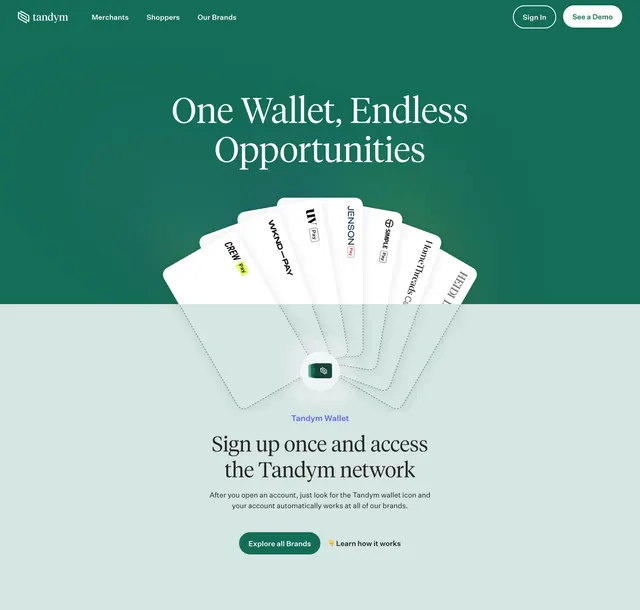 Tandym shoppers wallet hero, minimal, editorial, dark