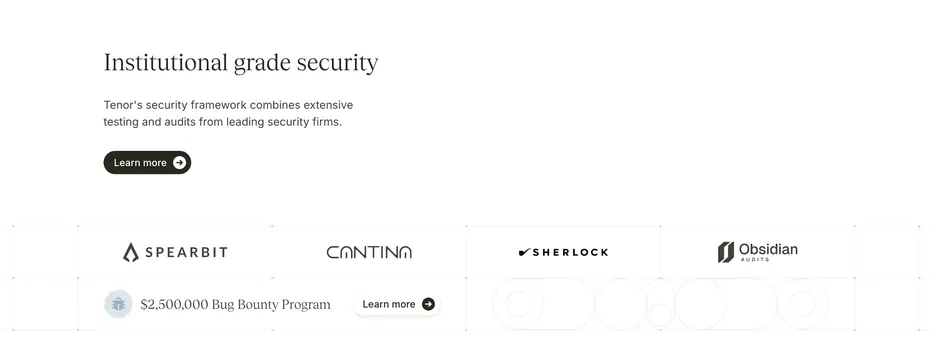 Tenor institutional security partners, minimal, corporate-clean, light