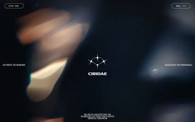 Ciridae