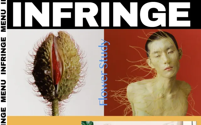 INFRINGE