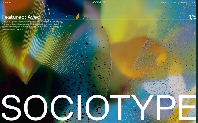 Sociotype