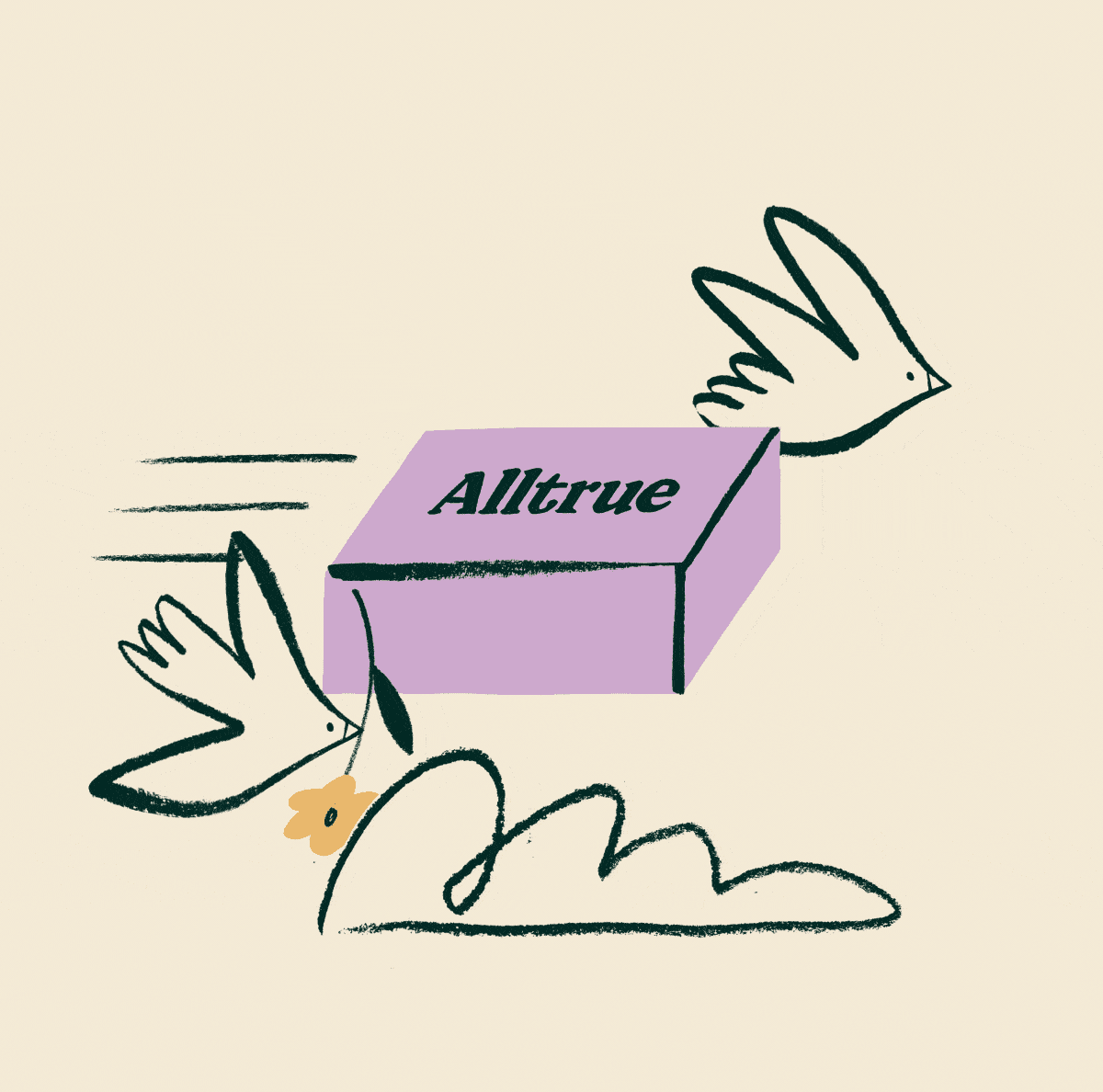 Alltrue brand packaging with botanical line art, minimal, organic, light